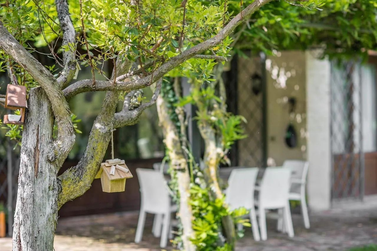 Bed & Breakfast Villa Emme Piombino Dese Italy